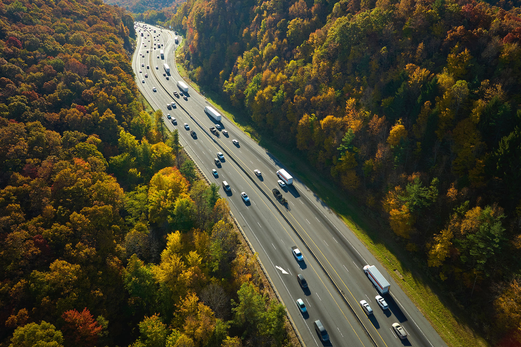 cars driving on freeway